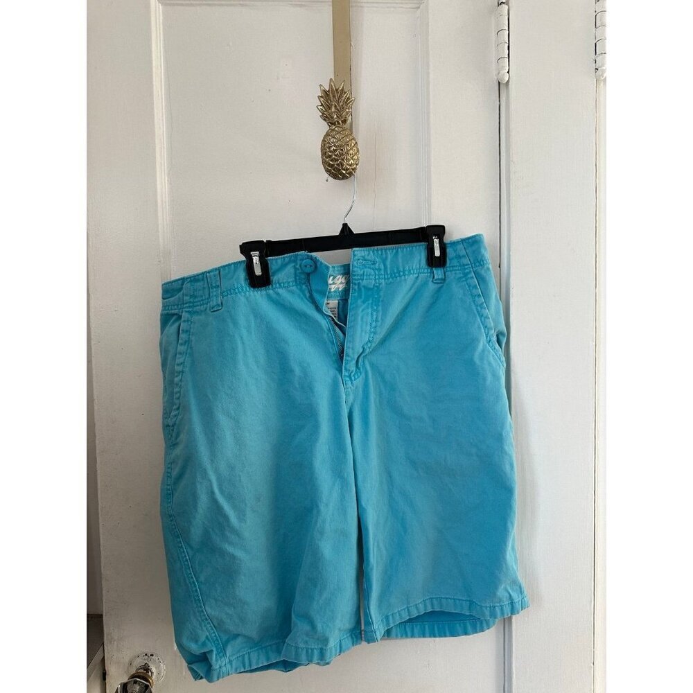 Plugg men’s size 30 blue shorts